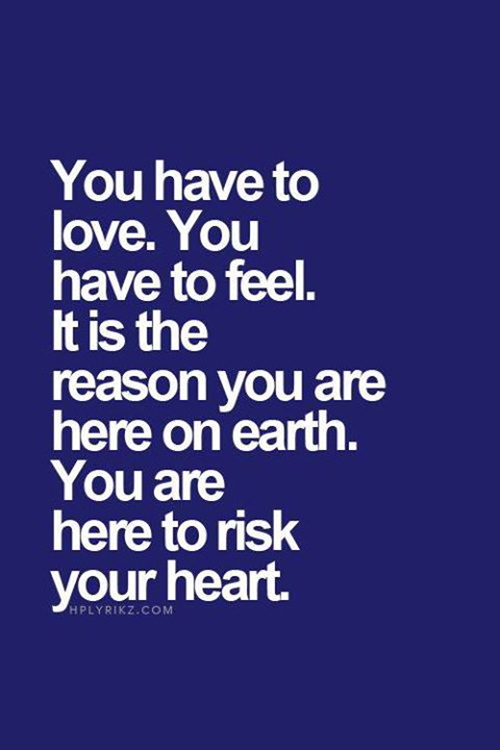 Love #53: You have to love. You have to feel. It is the reason you are ...