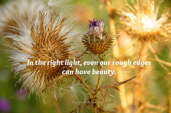 Truths #18: In the right light, even our rough edges can have beauty.