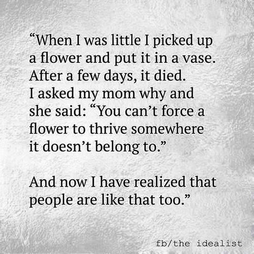 Truths #584: When I was little I picked up a flower and put it in a ...